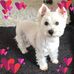 Profile Picture of Fran Andrews (@fran.andrews.37819) on Facebook