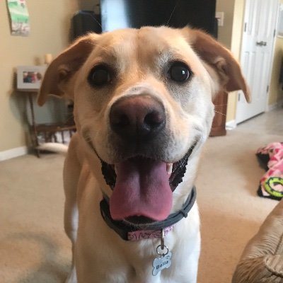 Profile Picture of Not Mentioned (@MichaelRumley5) on Twitter