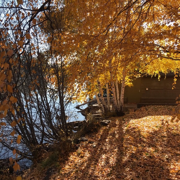 Profile Picture of Lea Van der zwiep (@leavdz77) on Poshmark