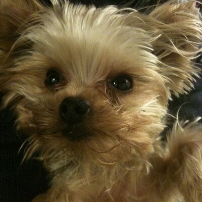 Profile Picture of Munch Daniels (@MUNCHxDANIELS) on Twitter