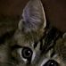 Profile Picture of Louise McFarland (@louise.mcfarland.37) on Facebook