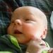 Profile Picture of Douglas Taber (@douglas4653) on Pinterest