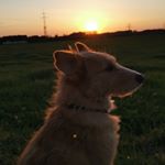 Julian Bender - Instagram Profile Picture of Julian Bender (@cycos54) on Instagram