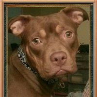 Shelly Weir - Quora Profile Picture of Shelly Weir (@shelly-weir-1) on Quora