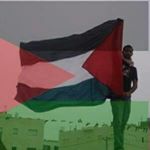 Profile Picture of Elias Rishmawi (@eliasrishmawi) on Instagram