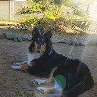 Profile Picture of Dawn Harmon (@dawn-harmon-6) on Quora