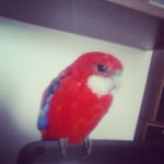 Profile Picture of Manning Doris (@slaymentry) on Instagram