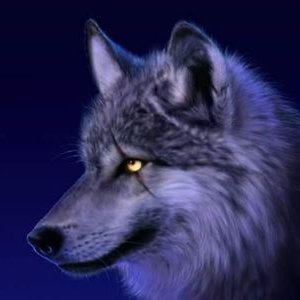 Profile Picture of Julio Cesar Melchor (@juliodeicor) on Twitter