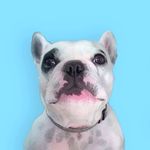 Profile Picture of Walter Geoffrey Fan Account!!! (@waltergeoffreyisagod) on Instagram