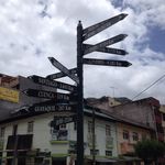 Profile Picture of Christopher Andreano (@christopherandreano) on Instagram