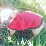 Profile Picture of dary acevedo (@darayanetacevedo) on Instagram