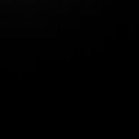 Profile Picture of Paul Michauskas (@paulmichauskas) on Tiktok