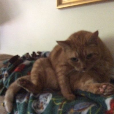 Profile Picture of Michael Khouri (@XDemonicKnight) on Twitter