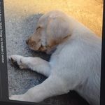 Profile Picture of Tímea Nagy (@nagytimea130713) on Instagram