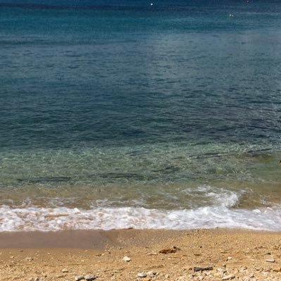 Profile Picture of Kaitlin New (@KaitlinNicole92) on Twitter