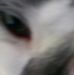 Profile Picture of Max Estes (@max.estes.940) on Facebook
