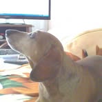 Profile Picture of Bernard Baranowski (@bernard.baranowski.58) on Facebook