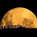 Profile Picture of Marcus Abbott (@abbott.marcus) on Instagram