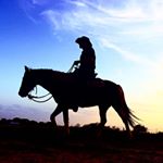 Profile Picture of Travis Ehlinger (@steadfasthorsemanship) on Instagram