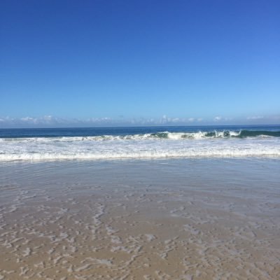 Profile Picture of Catherine_klein (@ckleclercq) on Twitter