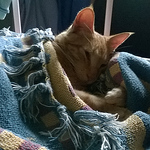 Profile Picture of Camila Gallegos Pino (@camila g. pino) on Flickr