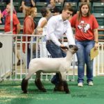 Profile Picture of Tyler Getzlaff (@_tyler_getzlaff_) on Instagram