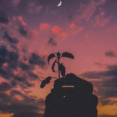 Dave Paler - Twitter Profile Picture of Dave Paler (@paler_dave) on Twitter