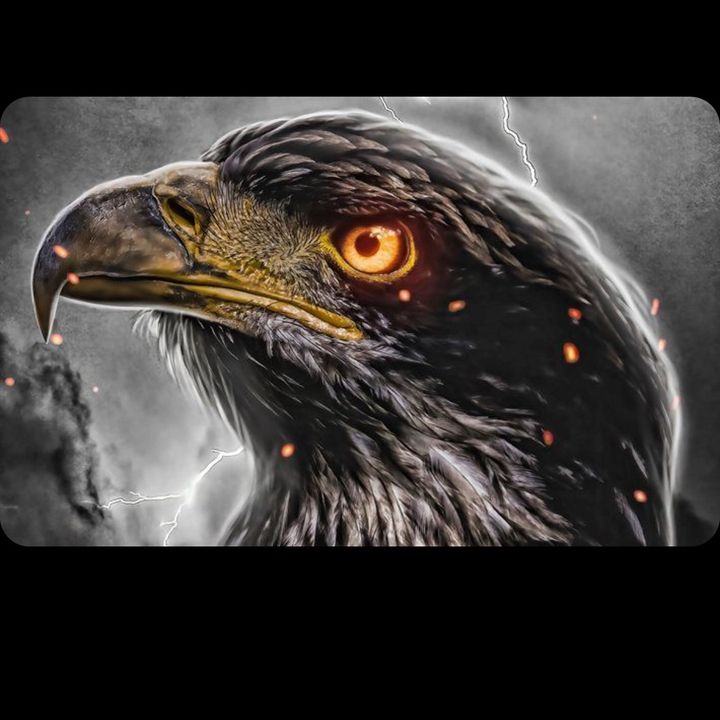 Profile Picture of Arnold (@arnoldeinzweidrei) on Tiktok