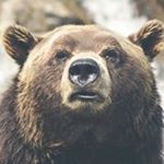 Profile Picture of Larry Boudreaux (@larry.boudreaux.758) on Instagram