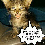 Profile Picture of Michael Stigers (@t3xas_d3m0n) on Instagram