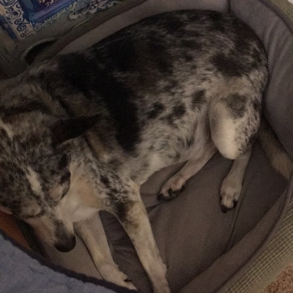 Profile Picture of Jordon Reznicek (@jrreznicek) on Poshmark