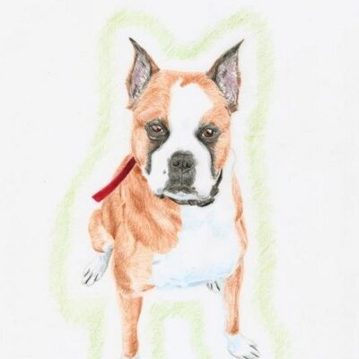 Profile Picture of Sue Jeffreys (@@JeffreysSue) on Twitter