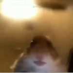 Profile Picture of Robkov asistent (@andrewiggogolis) on Instagram