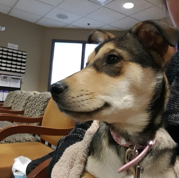 Profile Picture of Amanda Kelpsas (@amandakelpsas) on Poshmark