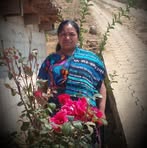 Profile Picture of Teresa Menchú (@Teresa-Menchú) on Facebook
