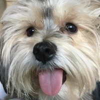 Profile Picture of Janet Sikiyan (@janet-sikiyan) on Quora