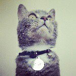 Profile Picture of Paksum Yip (@paksumyip) on Instagram