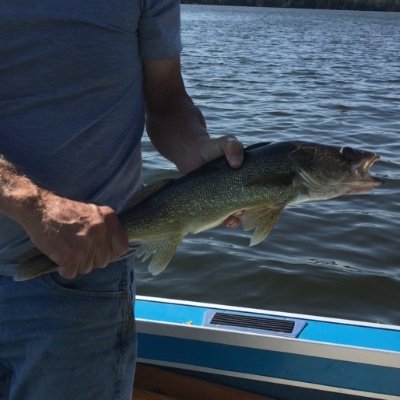 Profile Picture of Dave Nielsen (@Superdave92) on Twitter