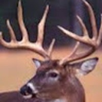 Profile Picture of Dane Peterson (@dane-peterson-30) on Quora