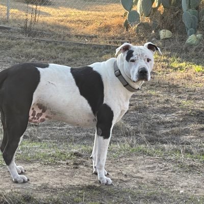 Lynne Finch - Twitter Profile Picture of Lynne Finch (@Lynne22262) on Twitter