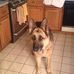 Profile Picture of Neal Sherman (@neal.sherman.14) on Facebook