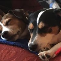 Profile Picture of Kate Ewing (@kate-ewing-1) on Quora