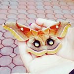 Profile Picture of Josie Benfari Bonello (@limoncellooooooooo) on Instagram