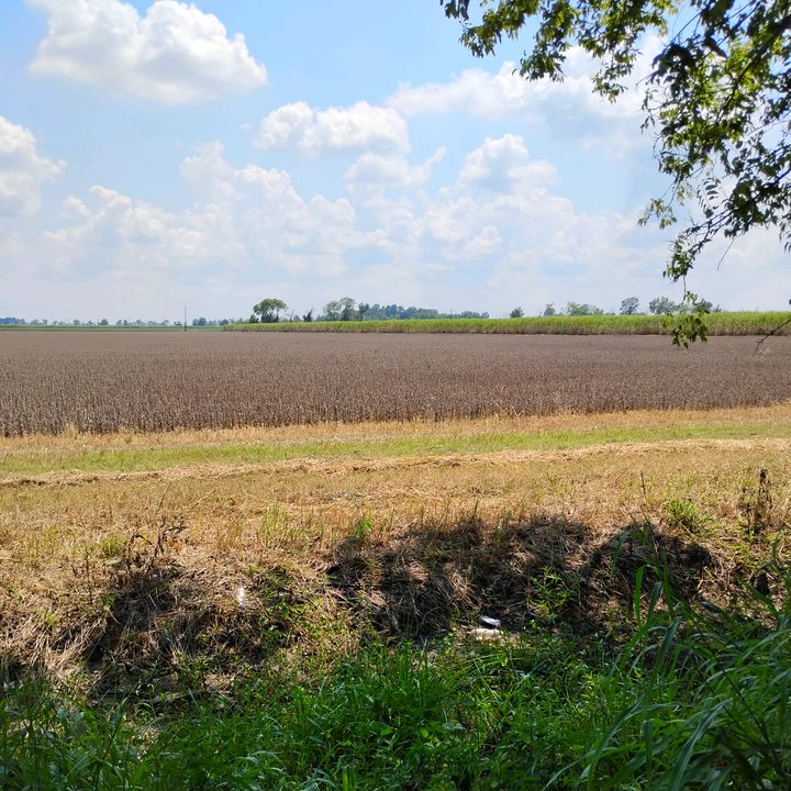 Profile Picture of Cathy Little (@@cathylittle1971) on Tiktok