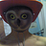 Profile Picture of Alex Skinner (@alexichimp365) on Flickr