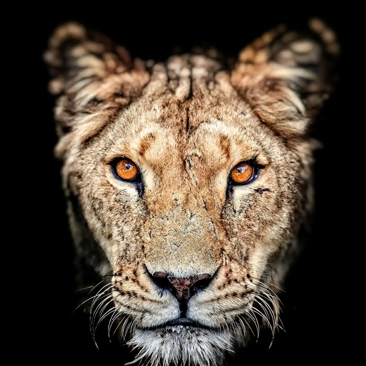 Profile Picture of Deepu Chandora (@deepuchandora07) on Tiktok