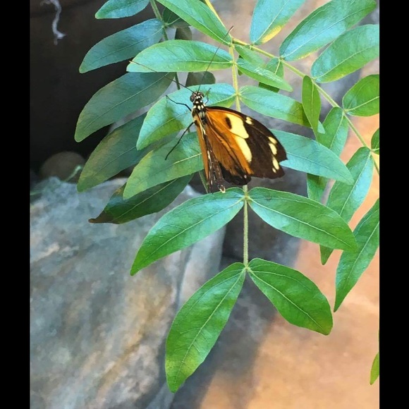 Profile Picture of Courtney Kemnitz (@09kemnic) on Poshmark