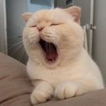 Chenxi.Zhao - Instagram Profile Picture of Chenxi.Zhao (@chanthy.zhao) on Instagram