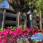 Savannah & Hampton Oaks - Instagram Profile Picture of Savannah & Hampton Oaks (@savannahhamptonoaks) on Instagram