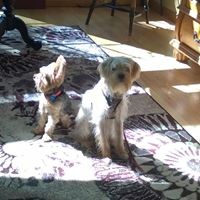 Profile Picture of Michael Valenta (@michael-valenta-5) on Quora